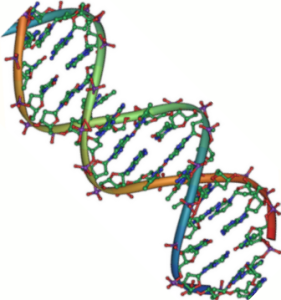 712dc-dna_double_helix_45