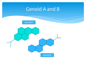 genoid A&B
