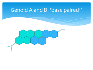 genoid base pair